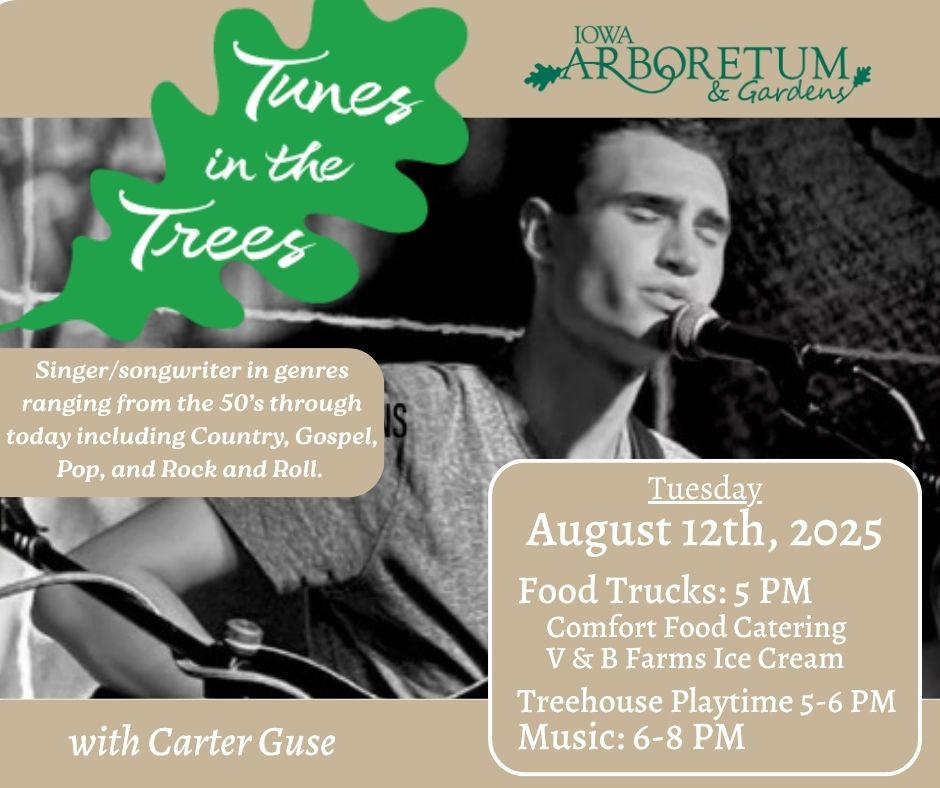 Tunes in the Trees with Carter Guse Tuesday August 12, 2025