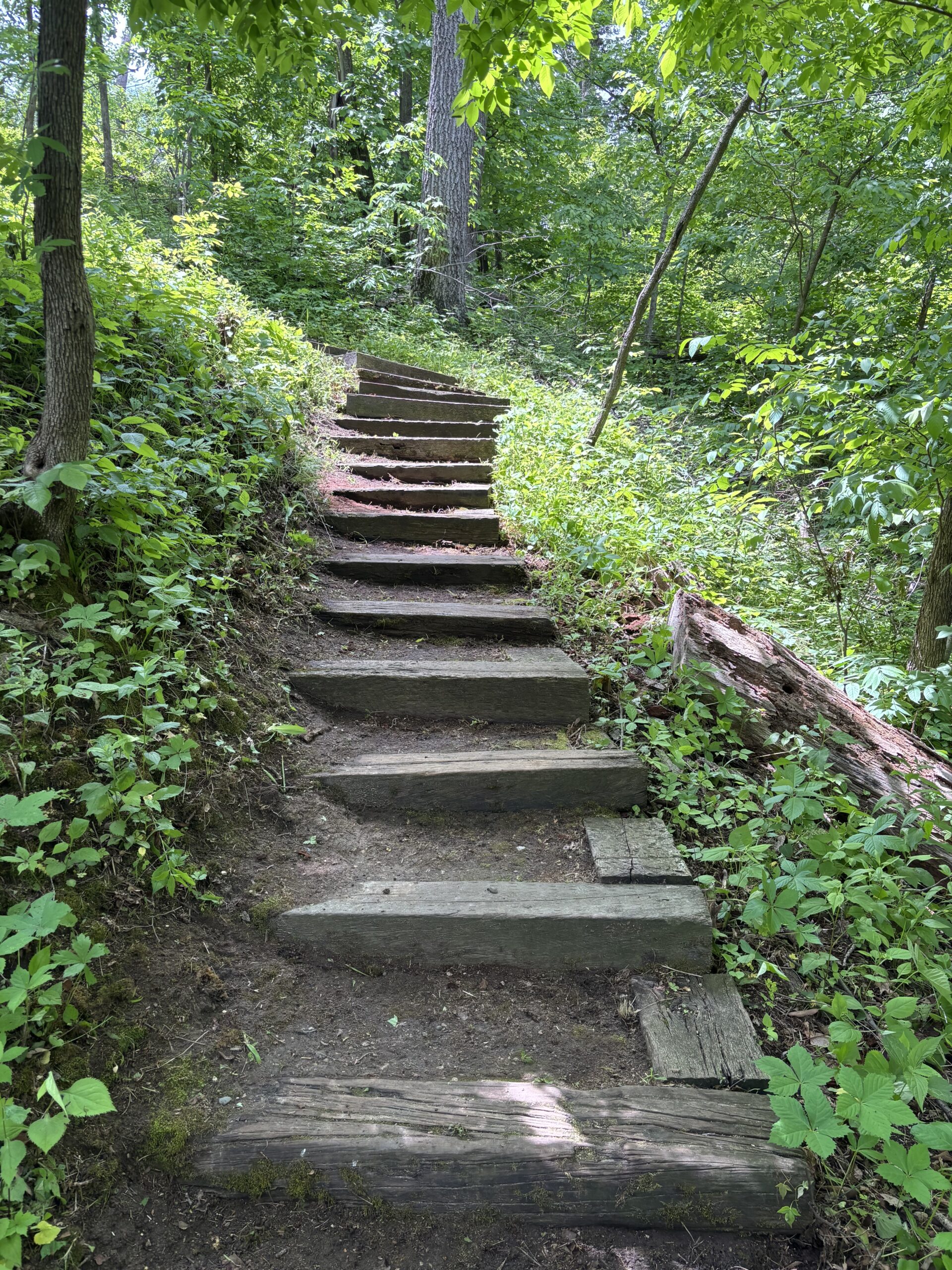 Steps
