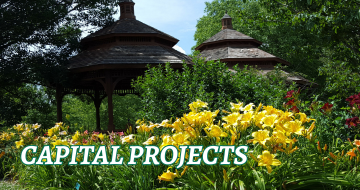 Gazebos with yellow daylily flowers