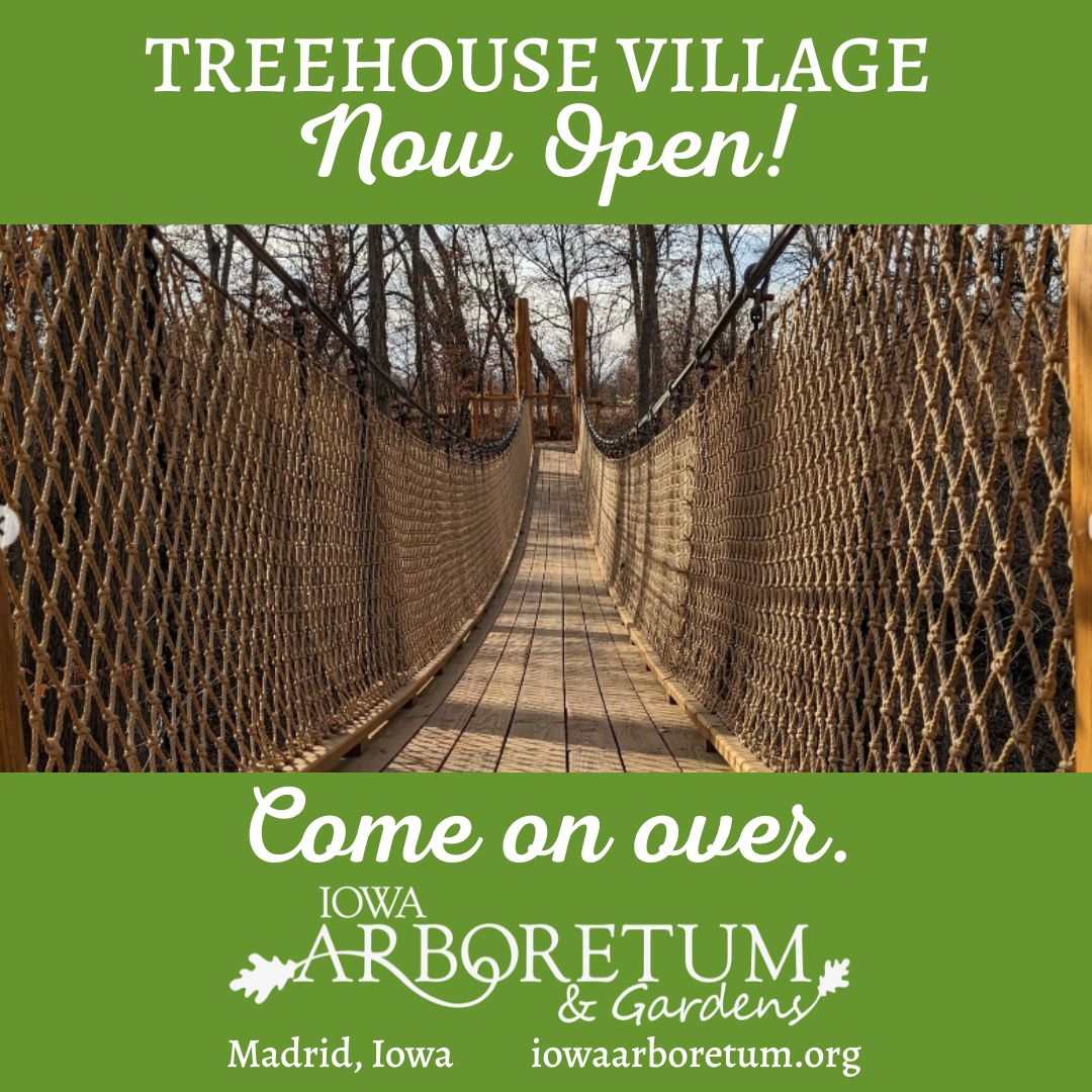 Treehouse Village covered in snow
